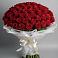 Букет 101 Красная роза Блэк Мэджик в Дне