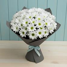 Букет цветов из:  Хризантемы в Дне