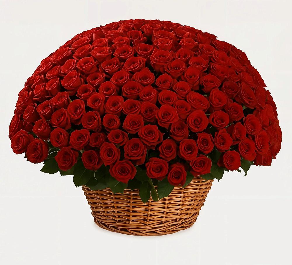 Премиум букет из: Розы в Дне