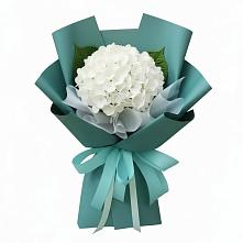 Букет цветов из:  Гортензия #REPLACE_PRED# Дне